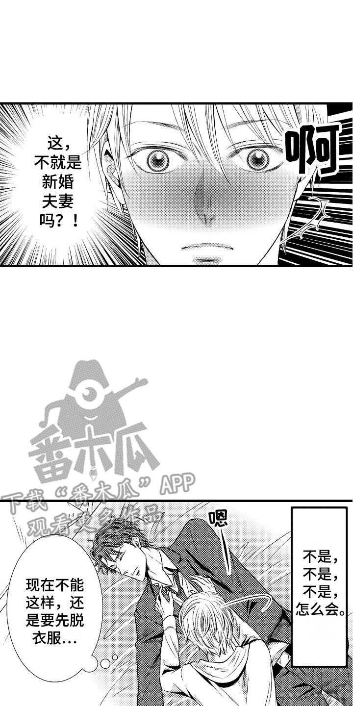 第17章：胡思乱想13