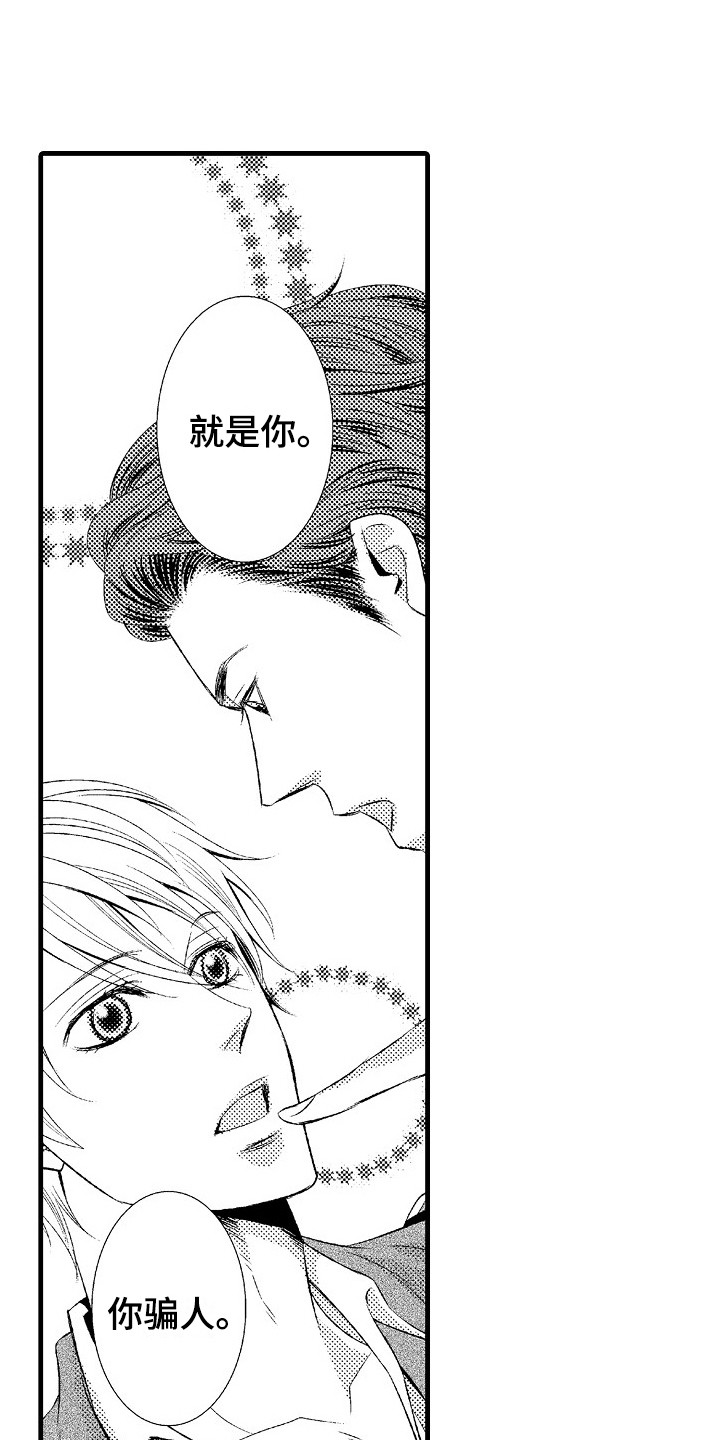第19章：真心的15
