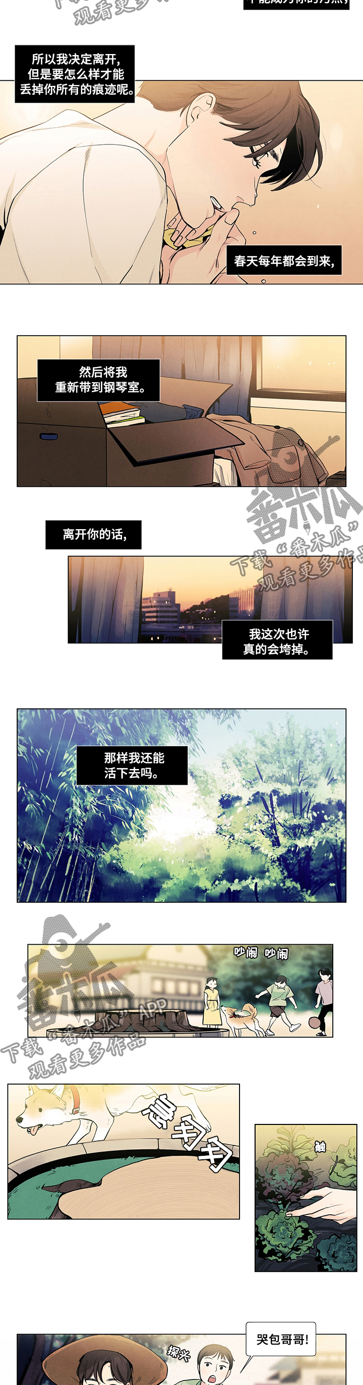 第69章：哭包哥哥2