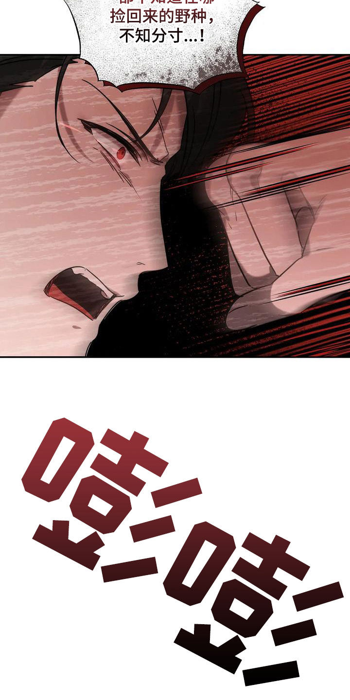 第56章：你惹到我了15