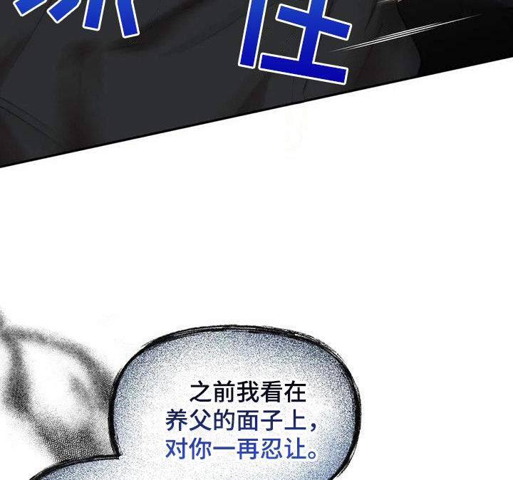 第56章：你惹到我了17