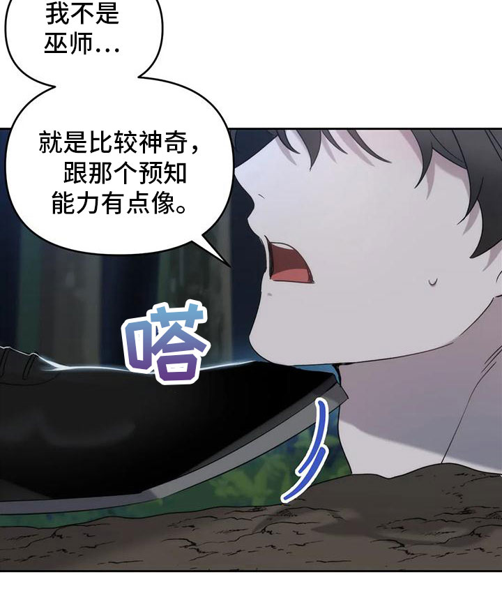 第5章：你是巫师？17