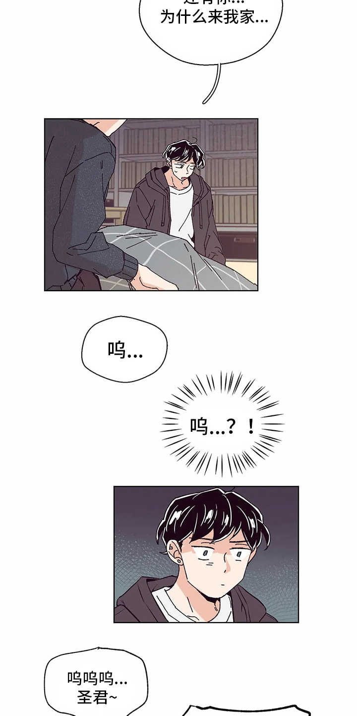 第53章：照顾4