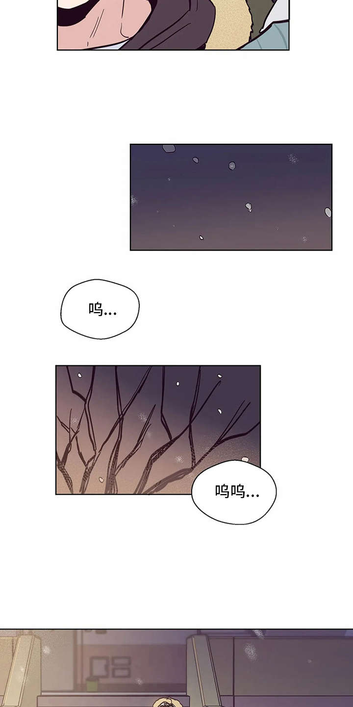 第46章：真面目14
