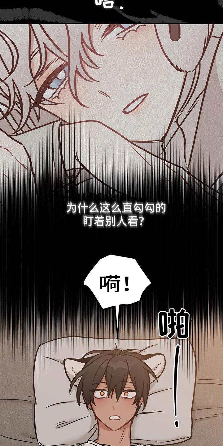 第5章：过夜2