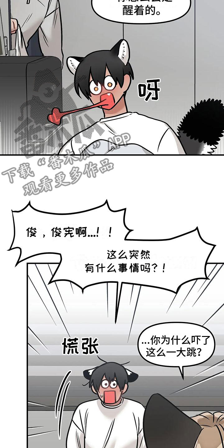 第5章：过夜14
