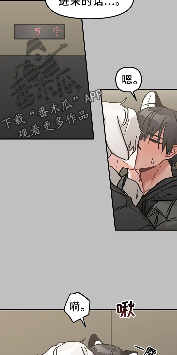 第12章：进攻15