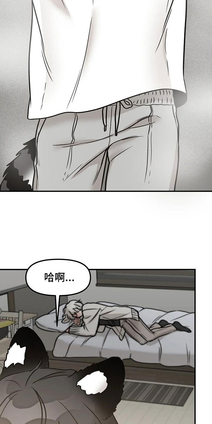第3章：带回家3