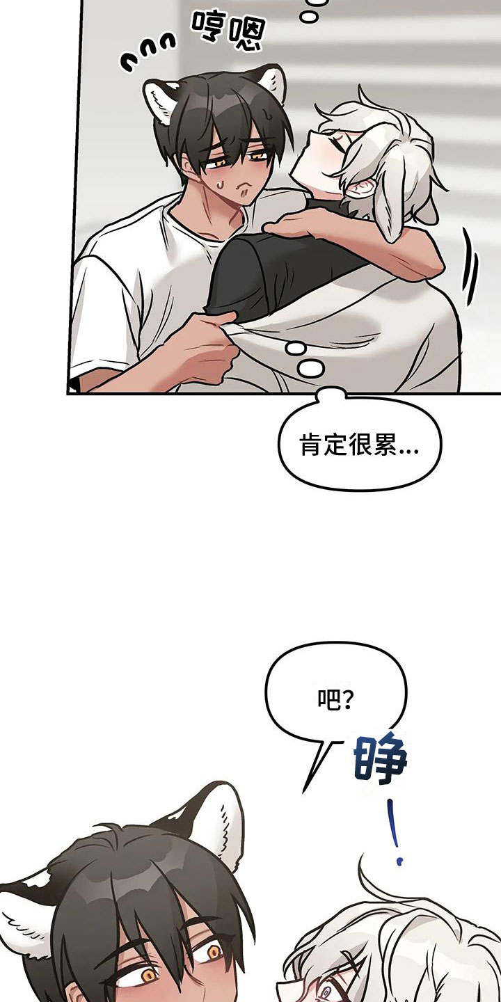 第3章：带回家11