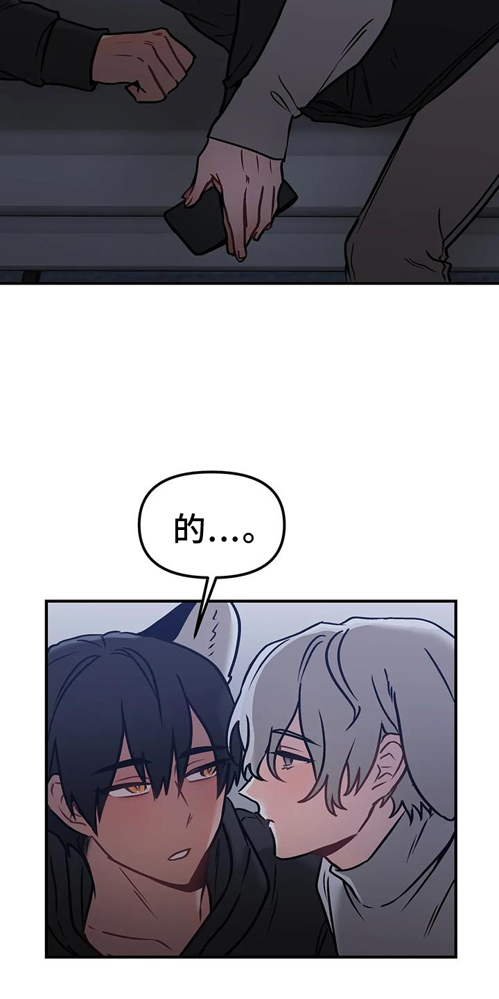第12章：进攻4