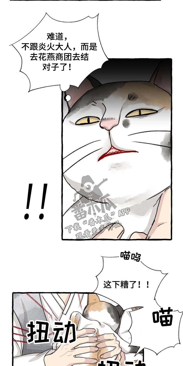 第128章：猫咪18