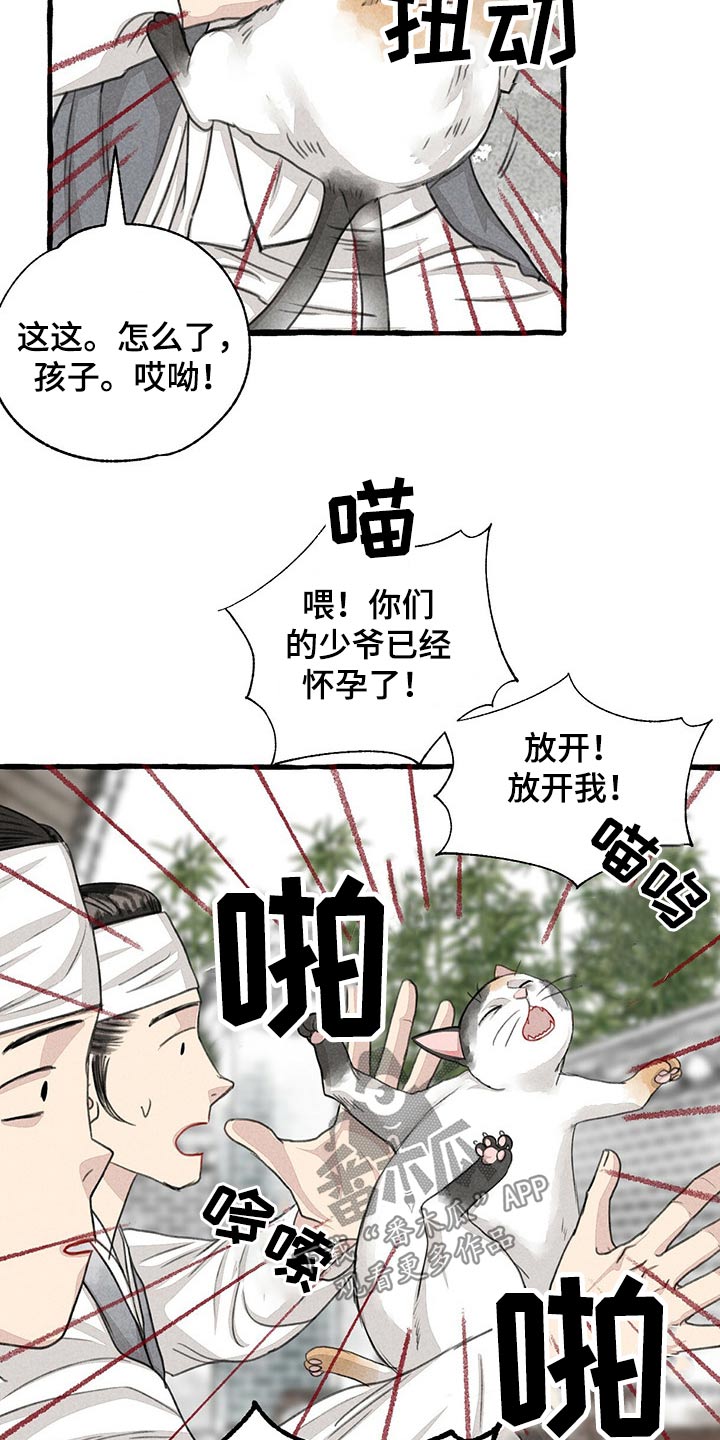 第128章：猫咪19