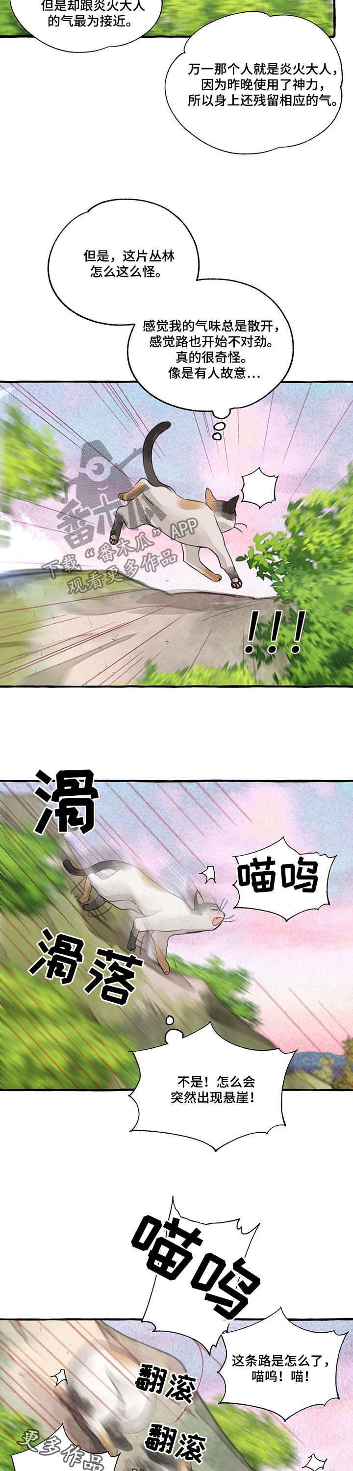 第104章：悬崖11