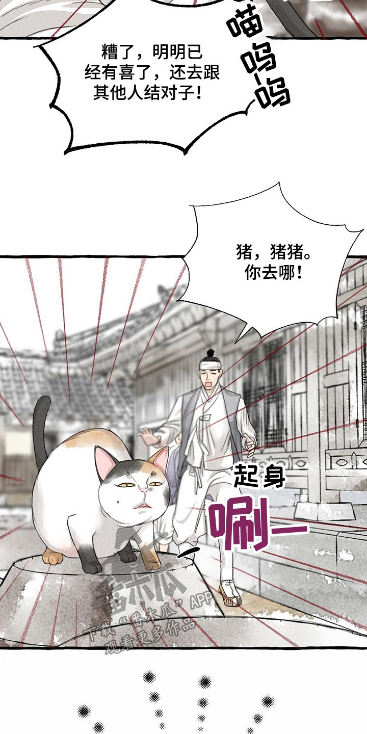 第128章：猫咪20