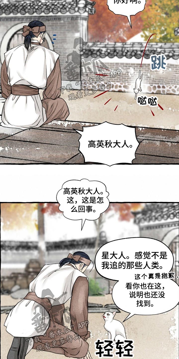 第128章：猫咪6