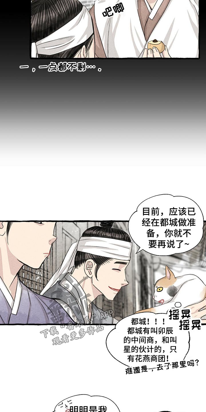 第128章：猫咪16