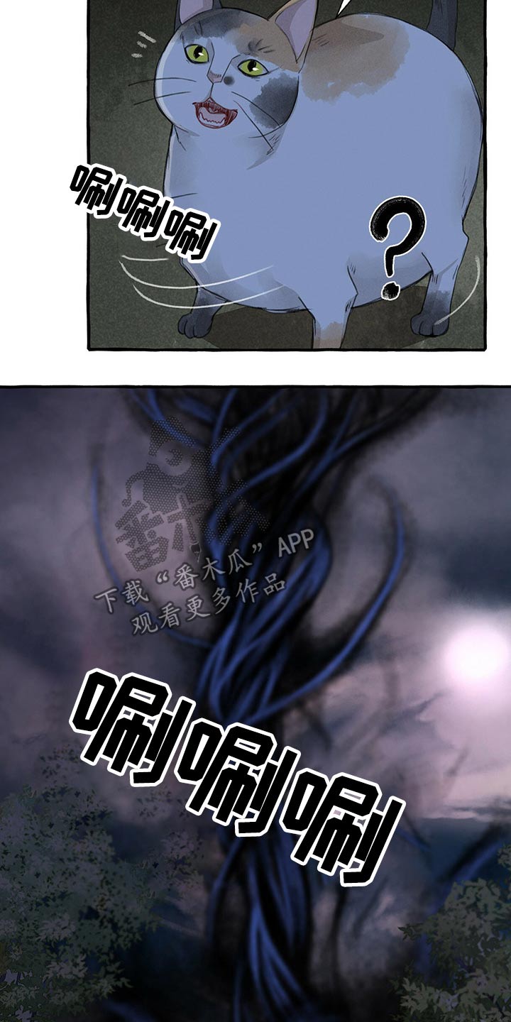 第137章：亲自出马18