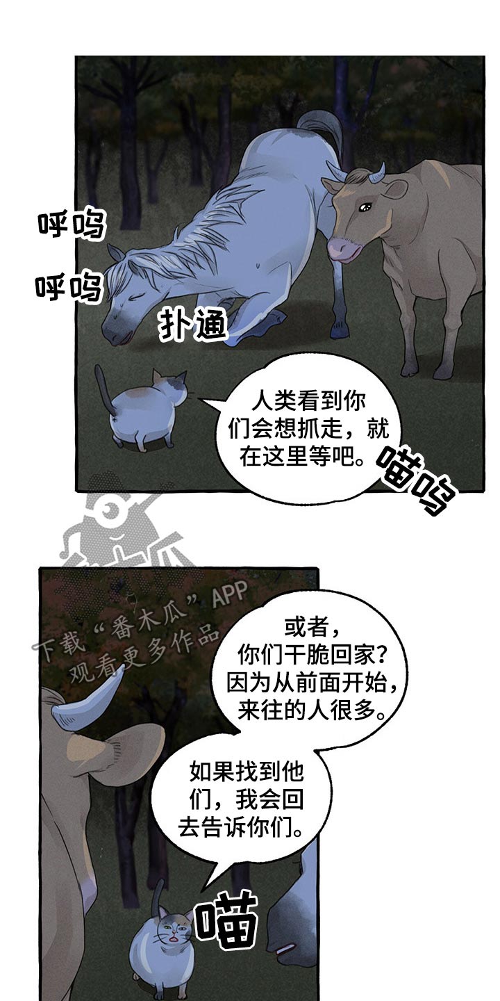 第137章：亲自出马16