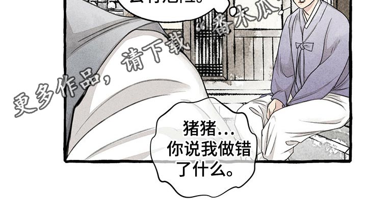 第128章：猫咪22