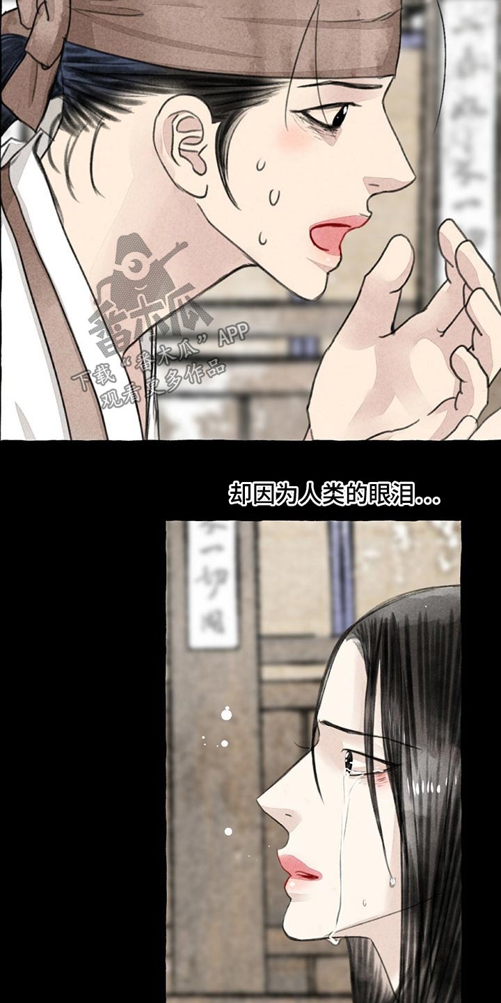 第128章：猫咪3