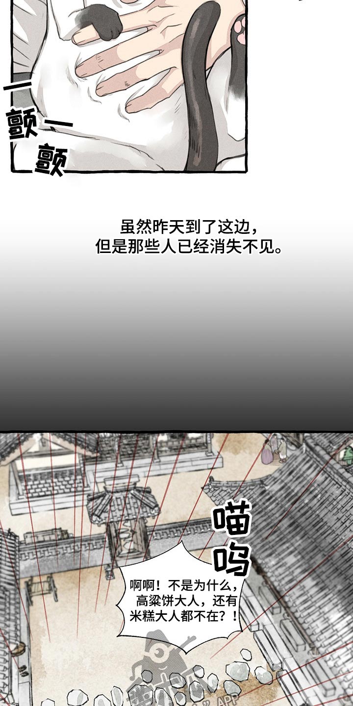 第128章：猫咪11