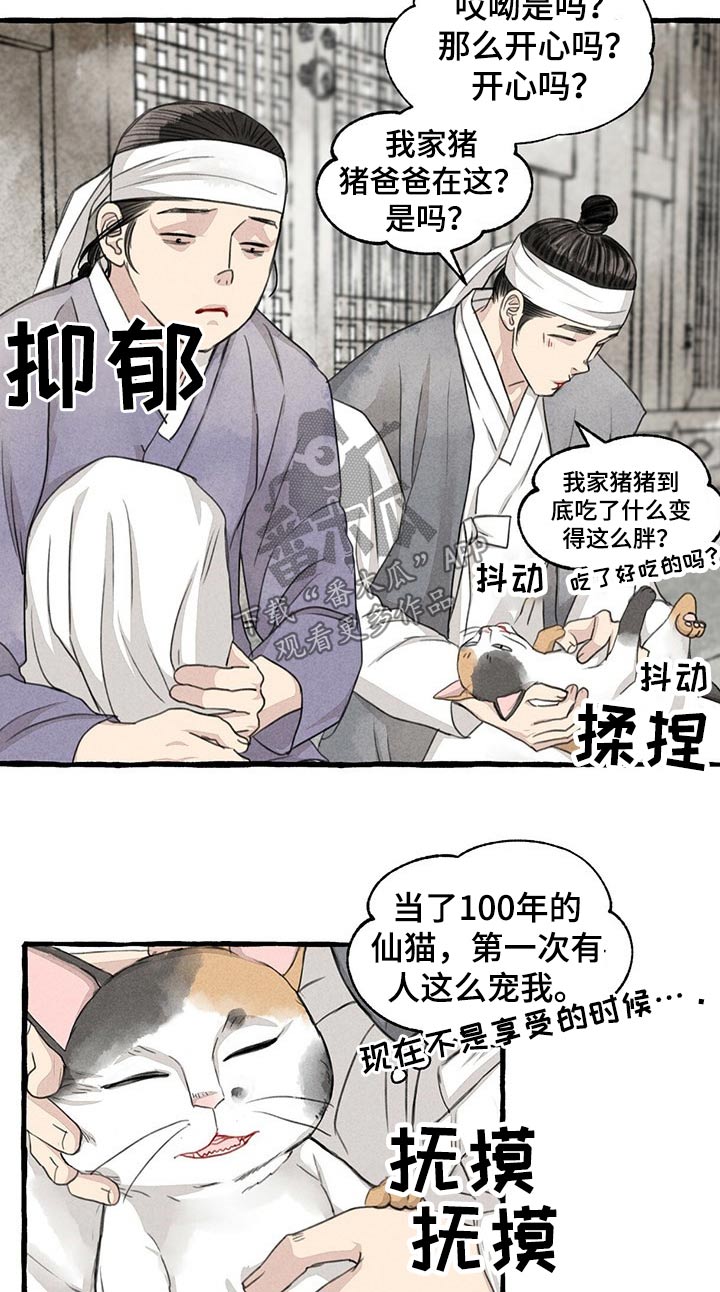 第128章：猫咪10