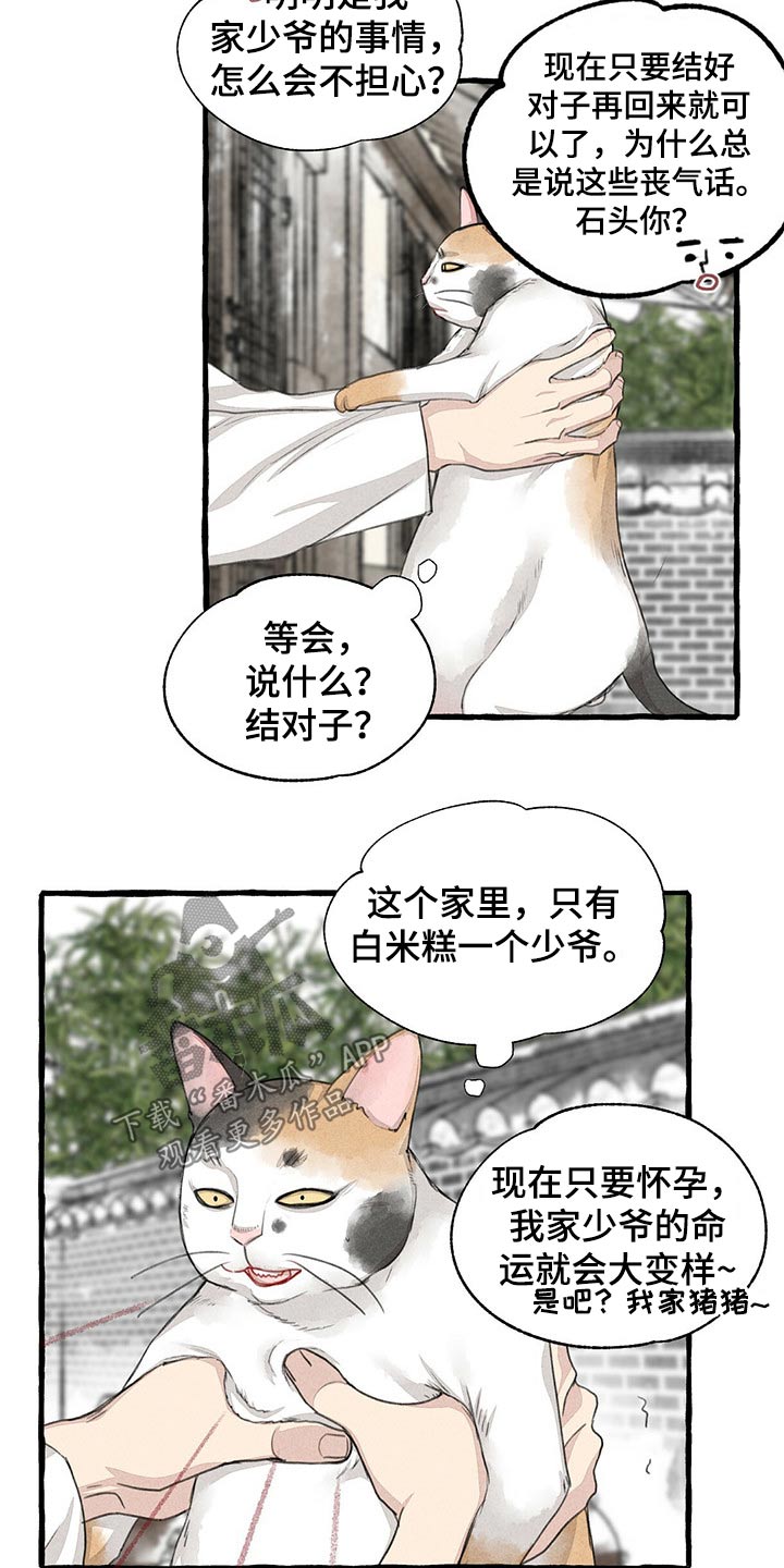 第128章：猫咪17