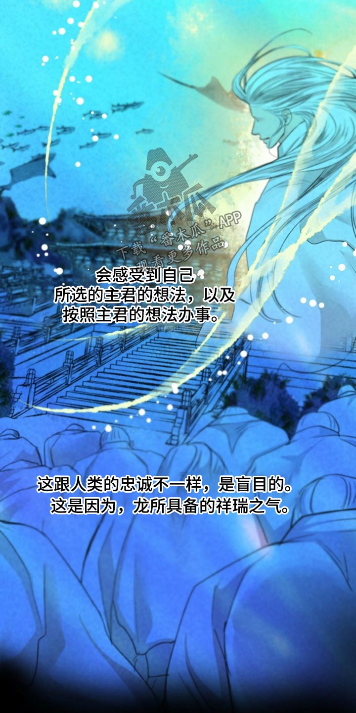 第128章：猫咪1