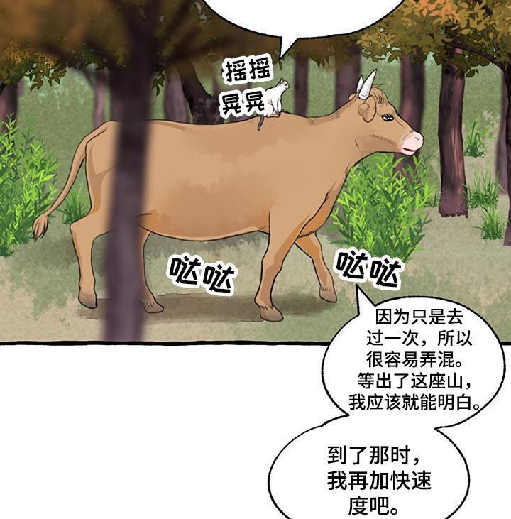 第121章：绝对10
