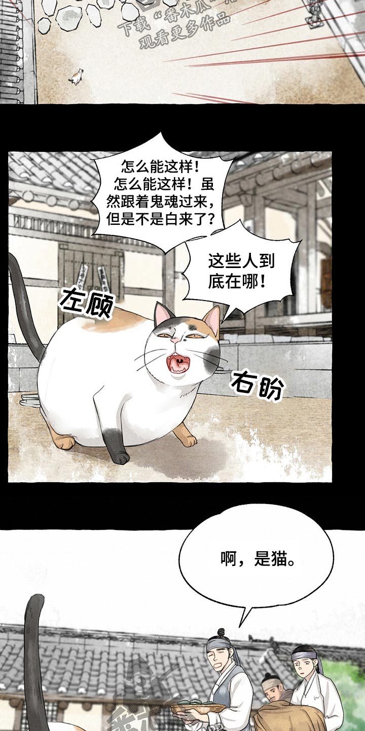 第128章：猫咪12