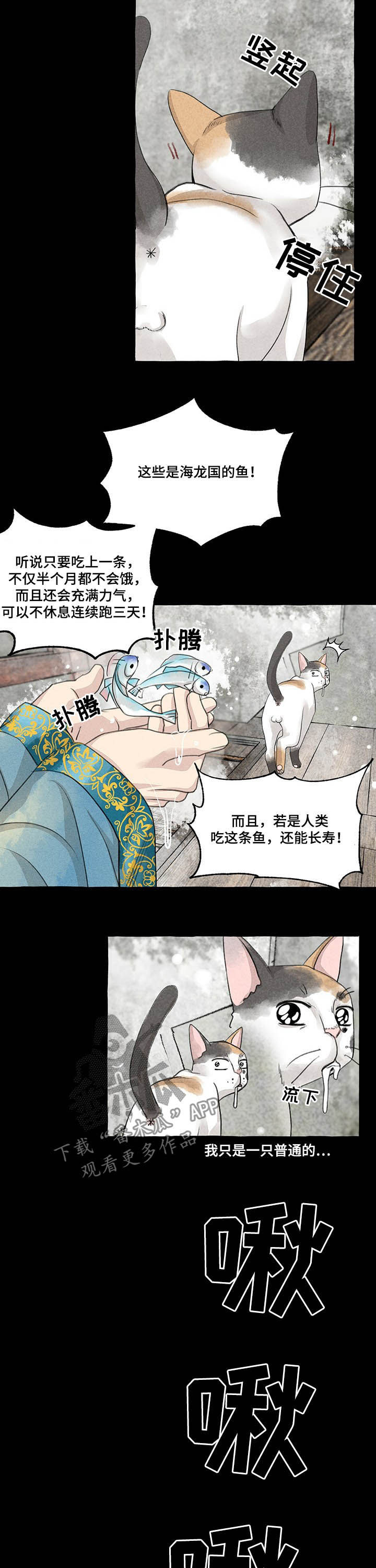 第104章：悬崖7