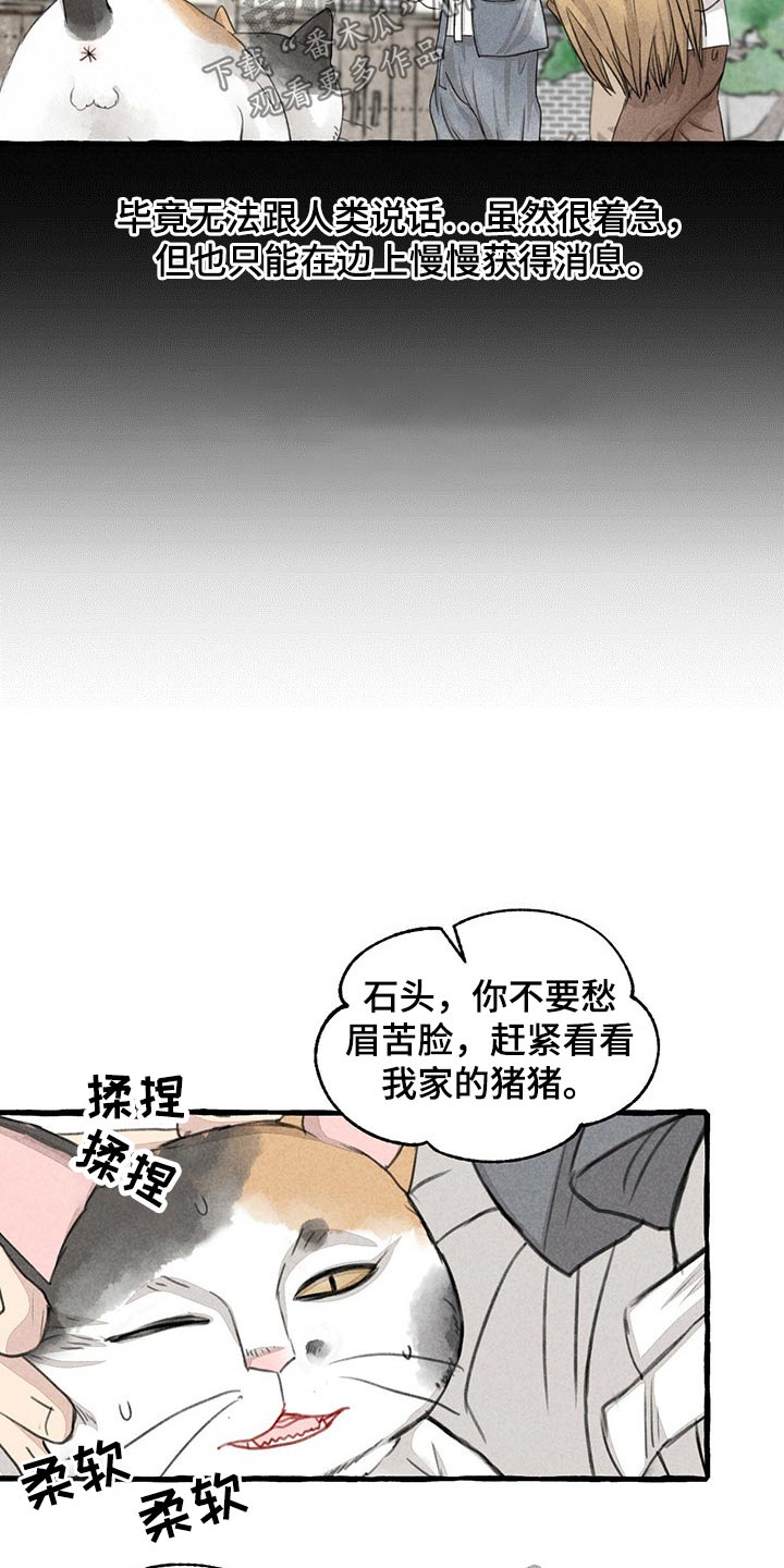 第128章：猫咪13