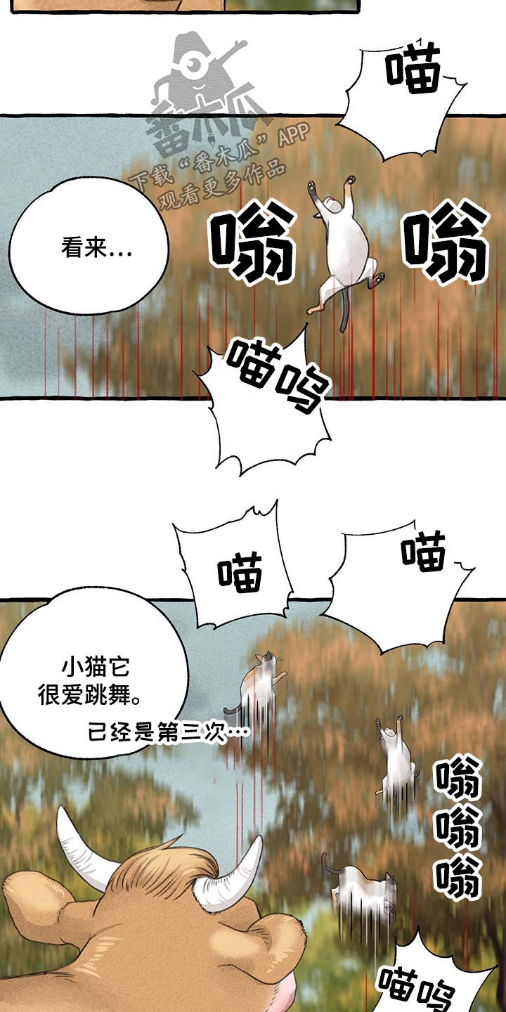 第121章：绝对15