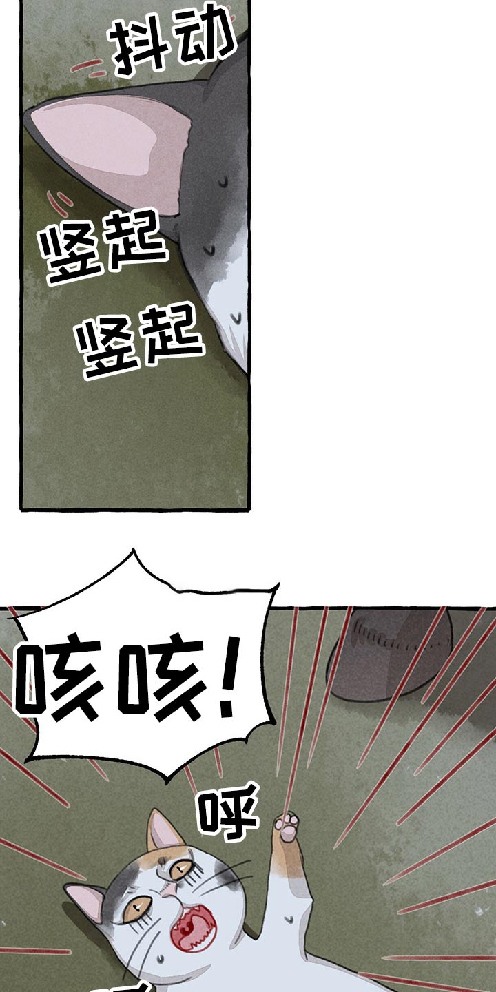 第149章：无法相信3