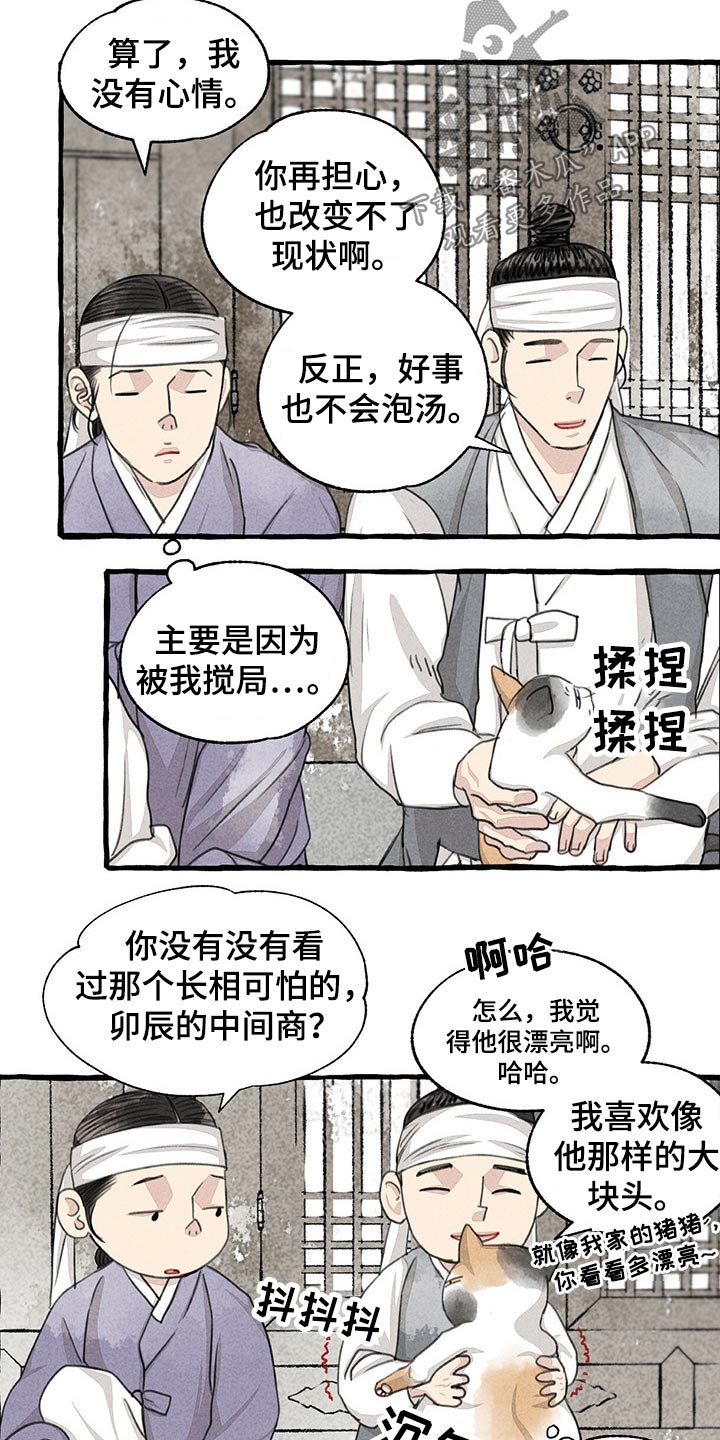 第128章：猫咪14