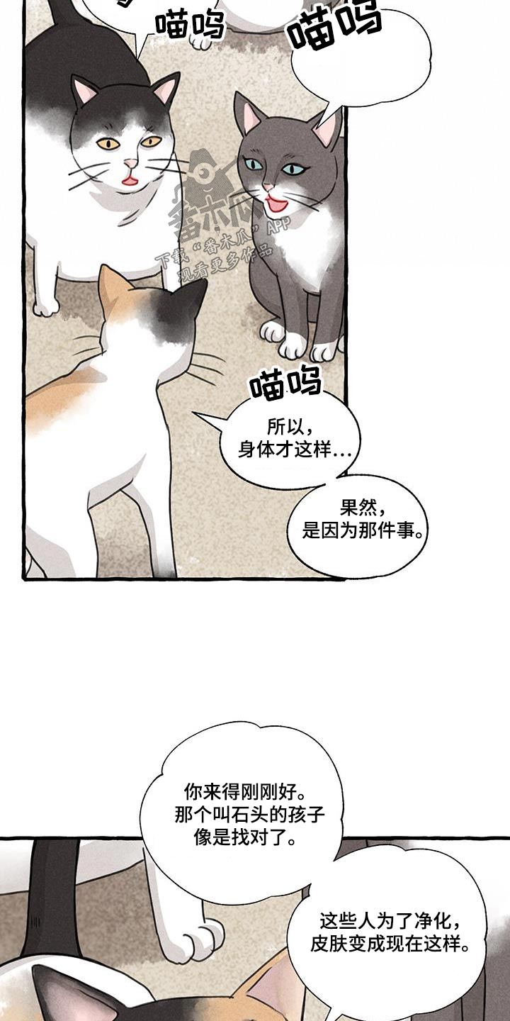 第175章：没关系7