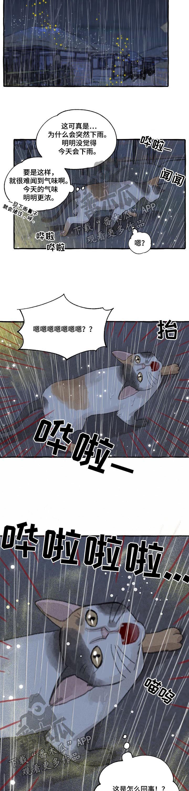 第99章：瑞雨8