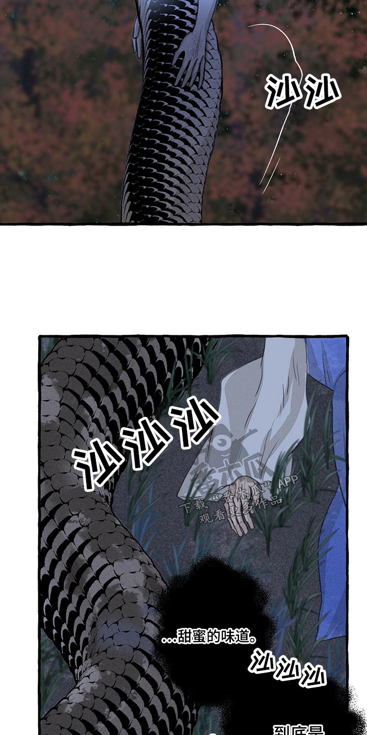 第159章：偷袭1