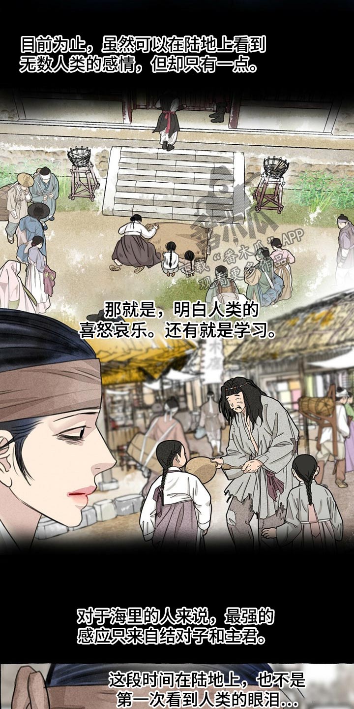 第128章：猫咪2
