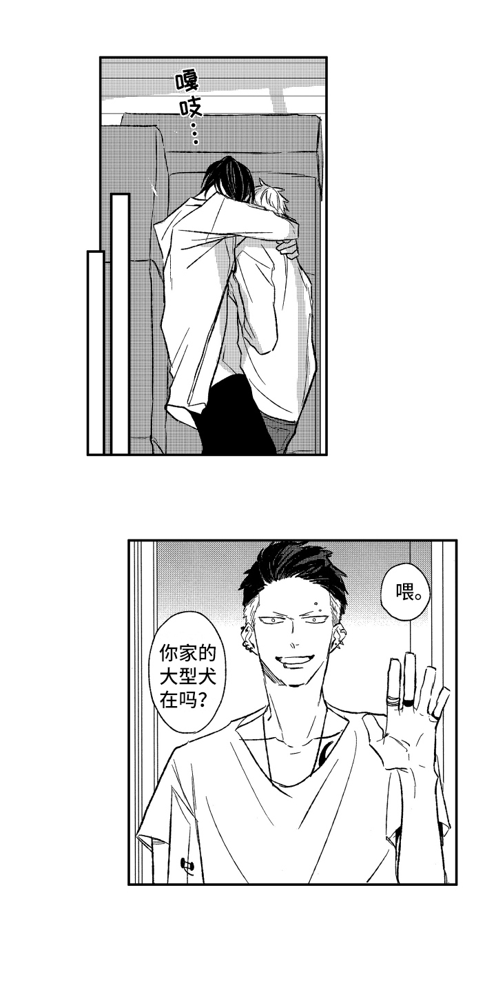 第17章：灵丹妙药11