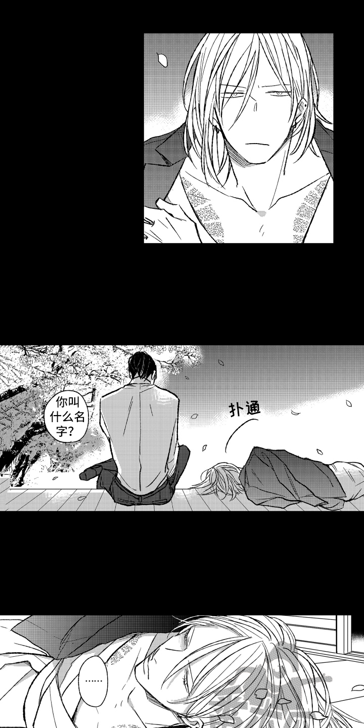 第19章：原因10