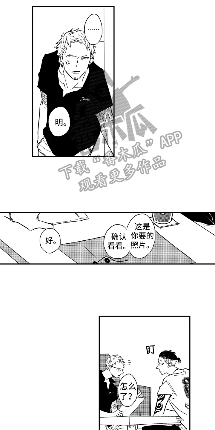 第17章：灵丹妙药12