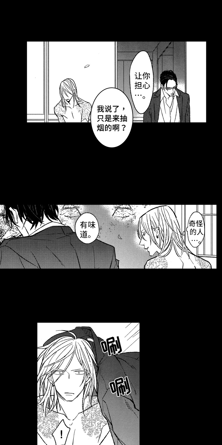第19章：原因8