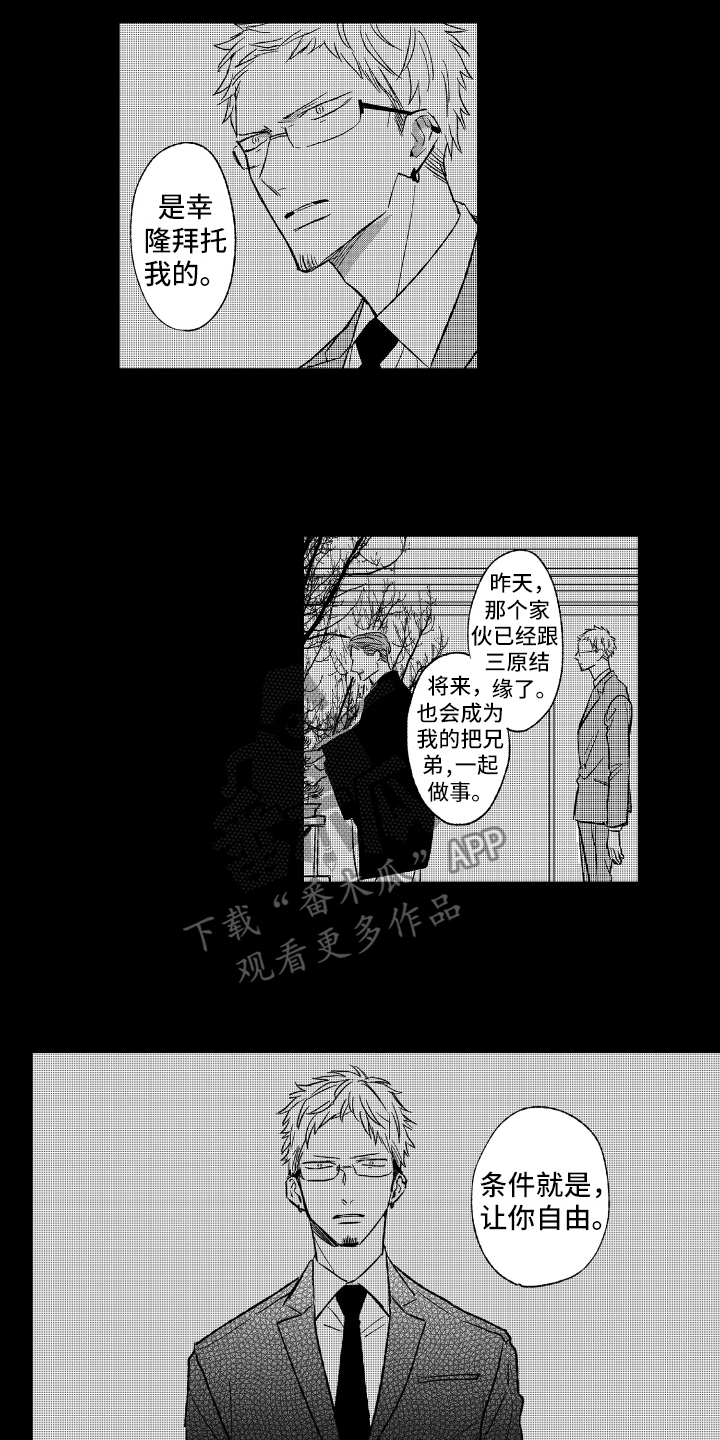 第31章：质问8