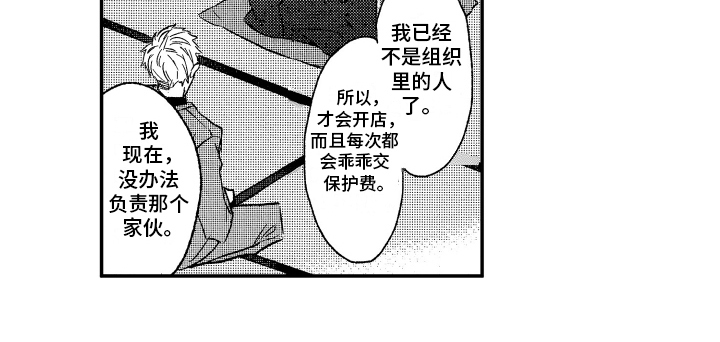 第2章：解释13