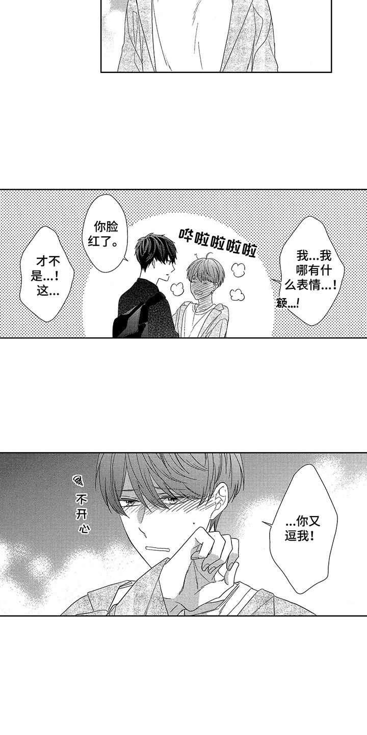 第13章：理由13