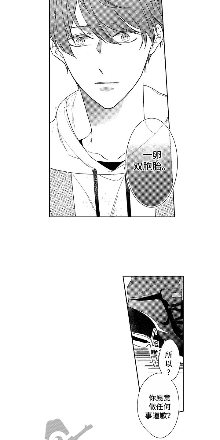 第4章：双胞胎13