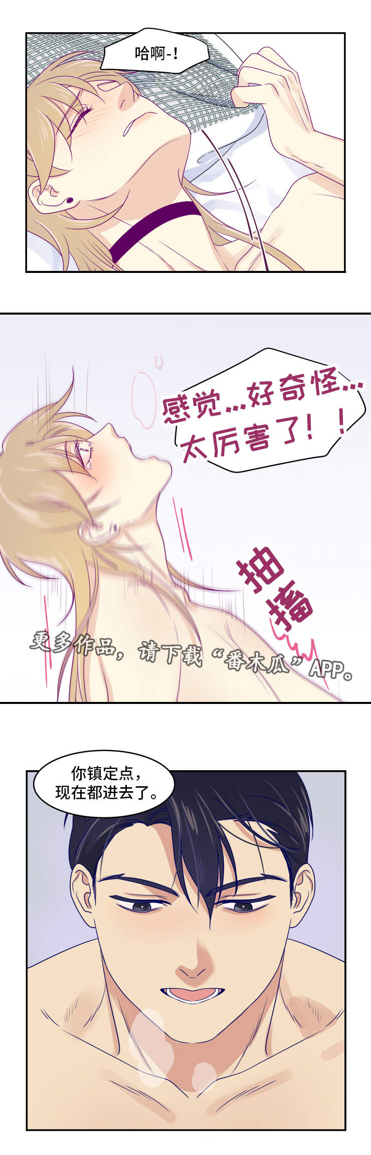 第21章：夜不归宿4