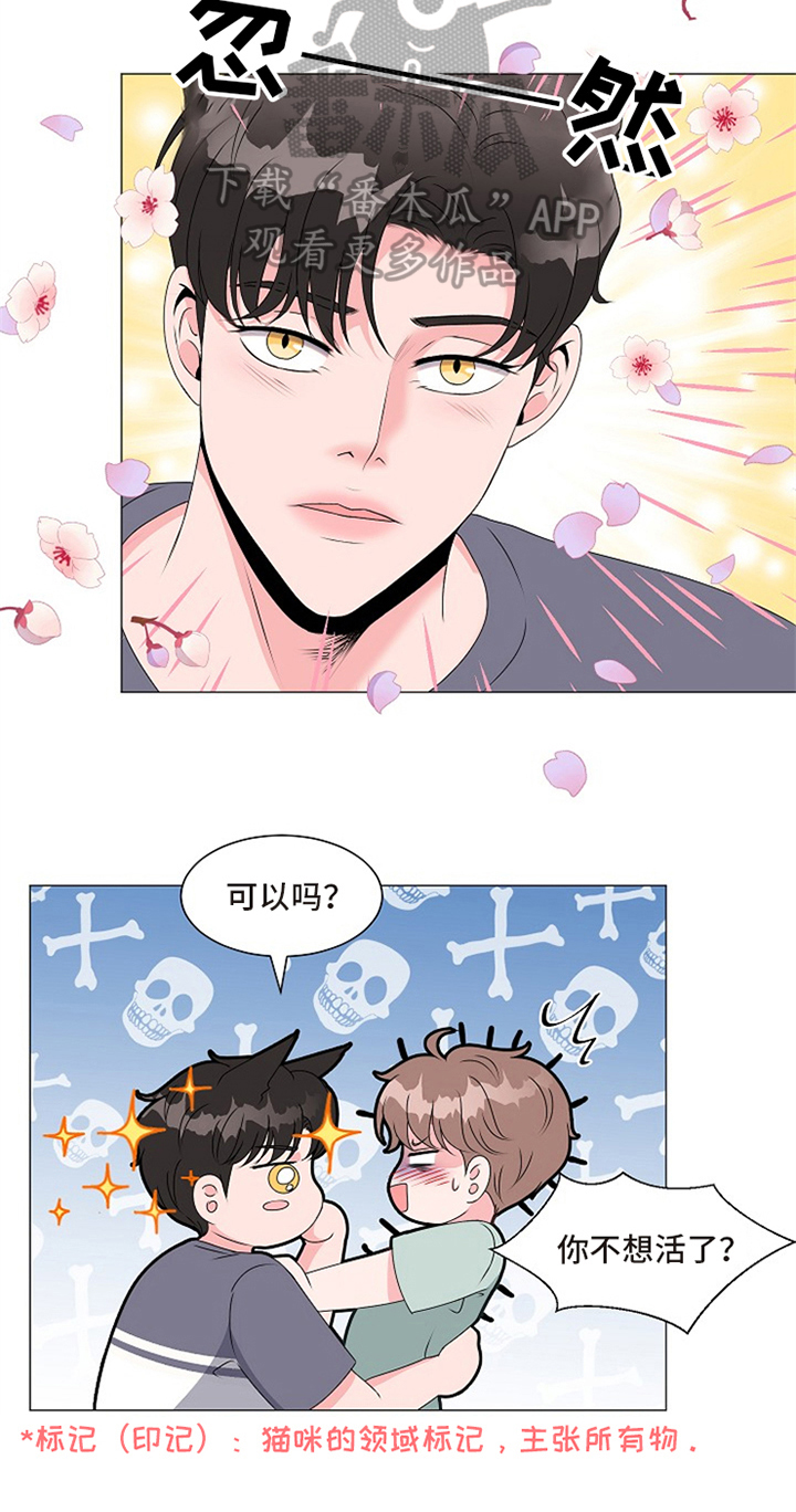 第5章：不能继续3