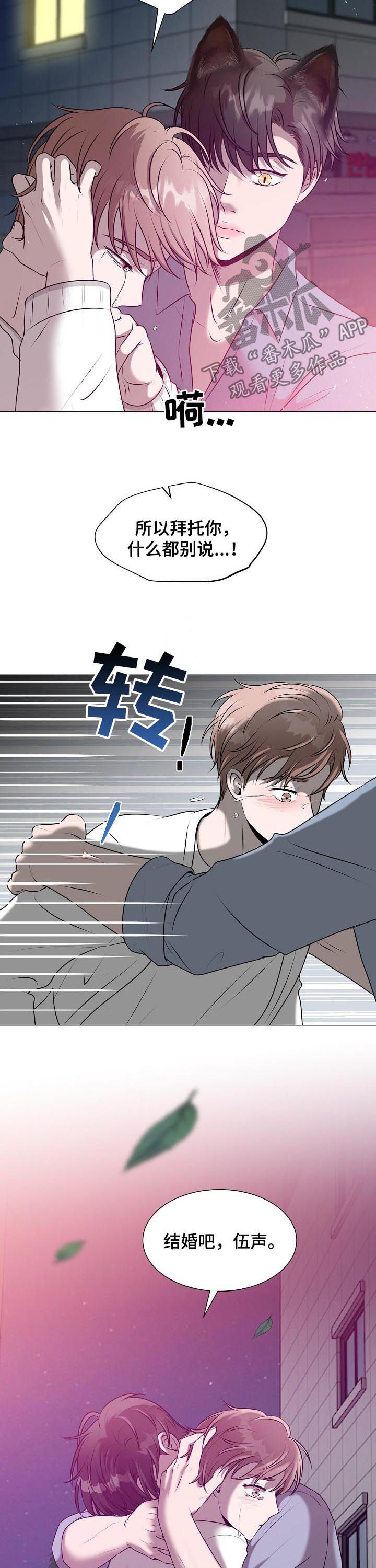 第41章：爱情5